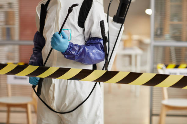 Professional Sewage Cleanup technician working in Windsor, MO
